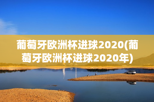 葡萄牙欧洲杯进球2020(葡萄牙欧洲杯进球2020年)