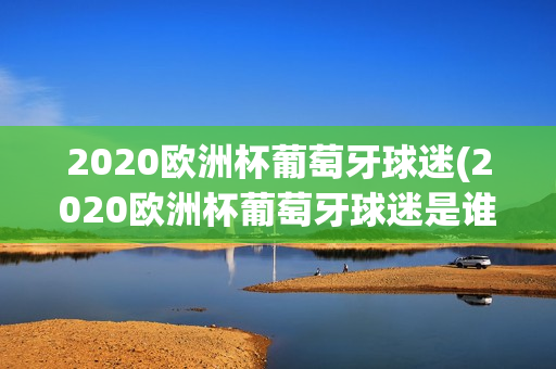 2020欧洲杯葡萄牙球迷(2020欧洲杯葡萄牙球迷是谁)