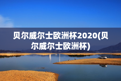 贝尔威尔士欧洲杯2020(贝尔威尔士欧洲杯)