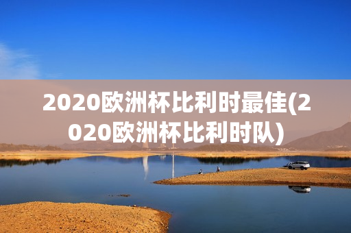 2020欧洲杯比利时最佳(2020欧洲杯比利时队)