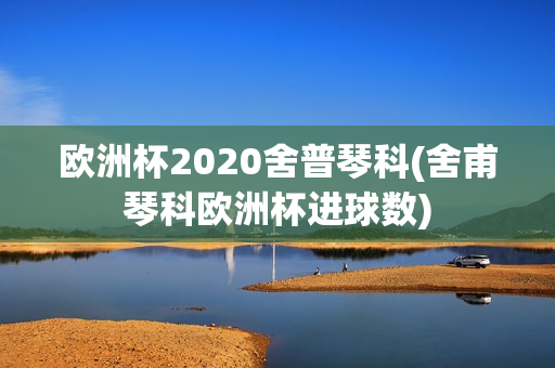 欧洲杯2020舍普琴科(舍甫琴科欧洲杯进球数)