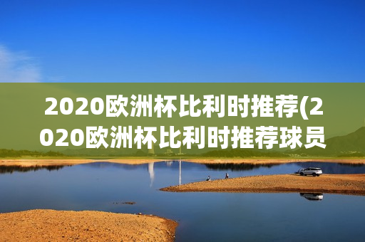 2020欧洲杯比利时推荐(2020欧洲杯比利时推荐球员)