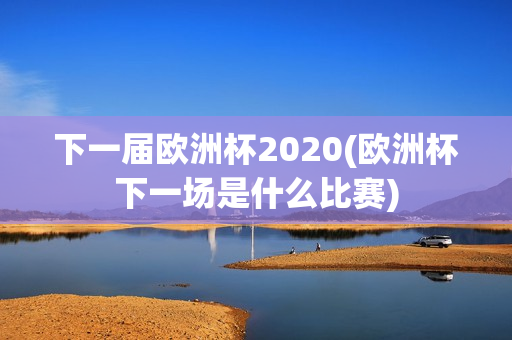 下一届欧洲杯2020(欧洲杯下一场是什么比赛)