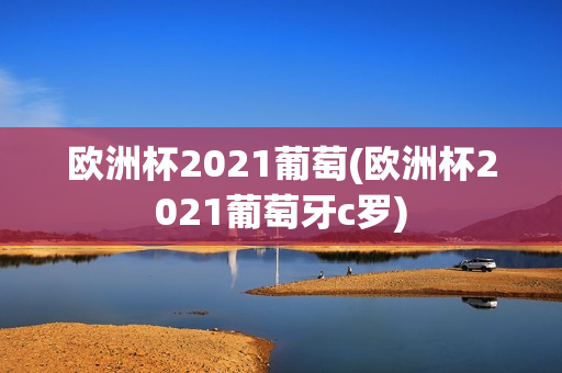 欧洲杯2021葡萄(欧洲杯2021葡萄牙c罗)