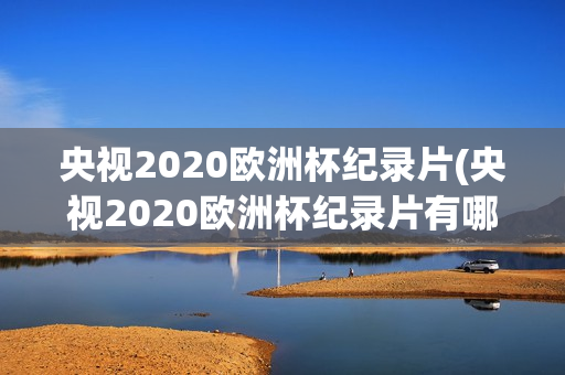 央视2020欧洲杯纪录片(央视2020欧洲杯纪录片有哪些)