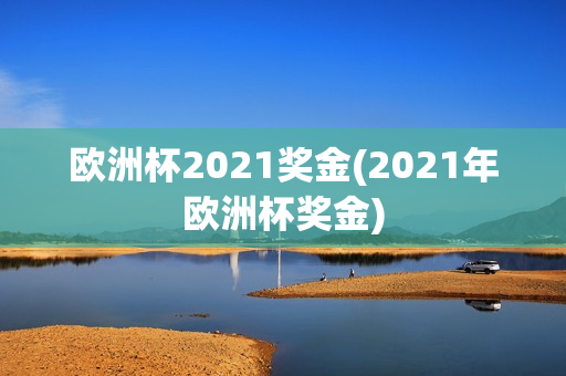 欧洲杯2021奖金(2021年欧洲杯奖金)