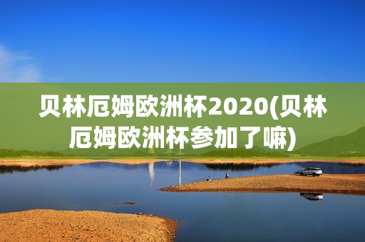 贝林厄姆欧洲杯2020(贝林厄姆欧洲杯参加了嘛)