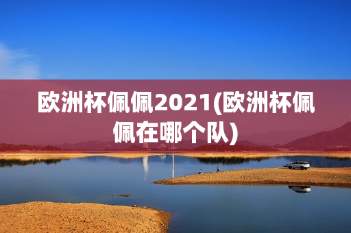 欧洲杯佩佩2021(欧洲杯佩佩在哪个队)