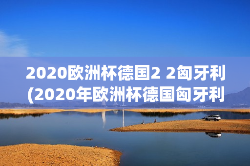 2020欧洲杯德国2 2匈牙利(2020年欧洲杯德国匈牙利)