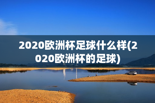 2020欧洲杯足球什么样(2020欧洲杯的足球)