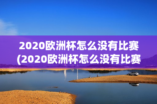 2020欧洲杯怎么没有比赛(2020欧洲杯怎么没有比赛了)