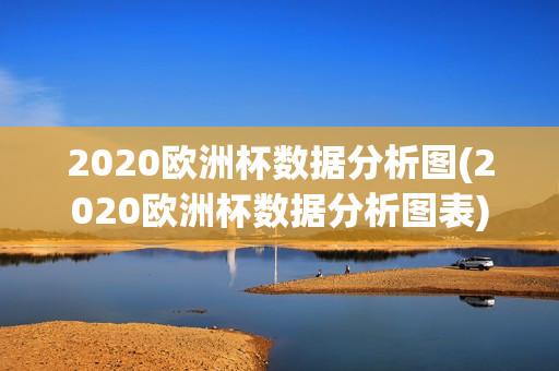 2020欧洲杯数据分析图(2020欧洲杯数据分析图表)