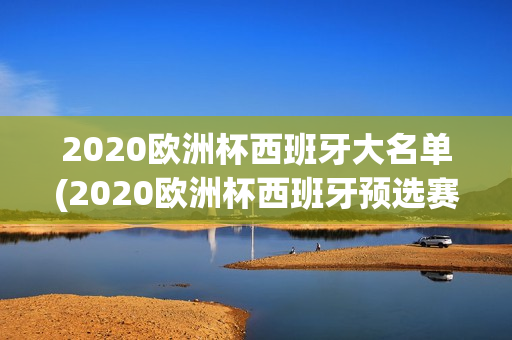 2020欧洲杯西班牙大名单(2020欧洲杯西班牙预选赛战绩)