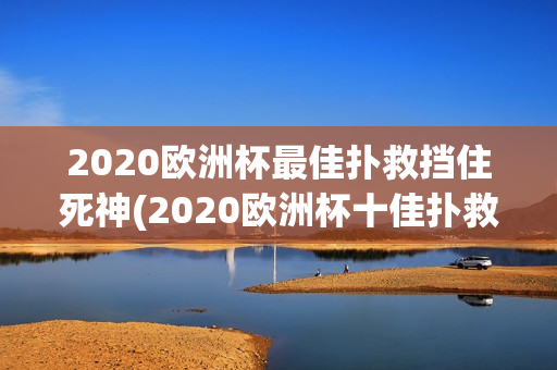 2020欧洲杯最佳扑救挡住死神(2020欧洲杯十佳扑救)