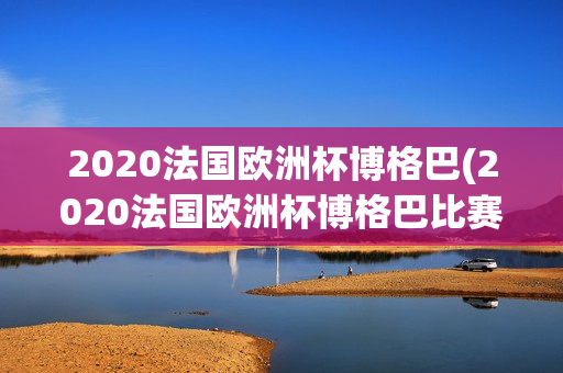 2020法国欧洲杯博格巴(2020法国欧洲杯博格巴比赛结果)