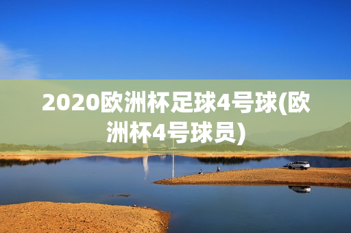 2020欧洲杯足球4号球(欧洲杯4号球员)