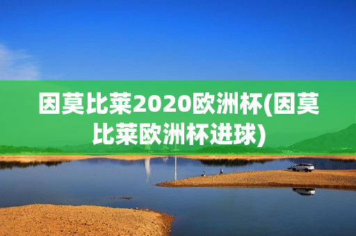 因莫比莱2020欧洲杯(因莫比莱欧洲杯进球)