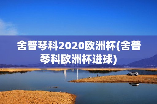 舍普琴科2020欧洲杯(舍普琴科欧洲杯进球)