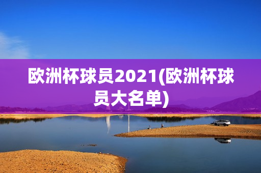 欧洲杯球员2021(欧洲杯球员大名单)