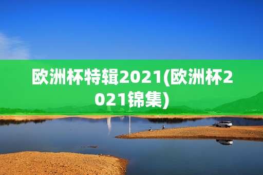 欧洲杯特辑2021(欧洲杯2021锦集)