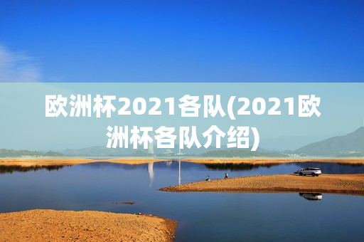 欧洲杯2021各队(2021欧洲杯各队介绍)