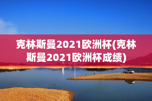 克林斯曼2021欧洲杯(克林斯曼2021欧洲杯成绩)