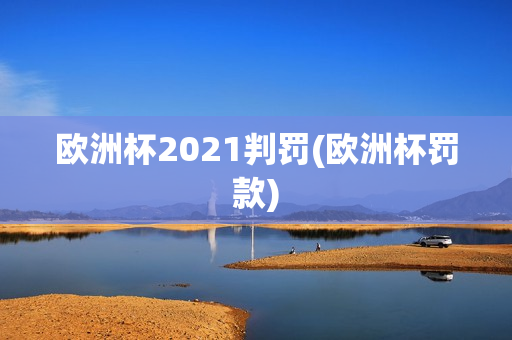 欧洲杯2021判罚(欧洲杯罚款)