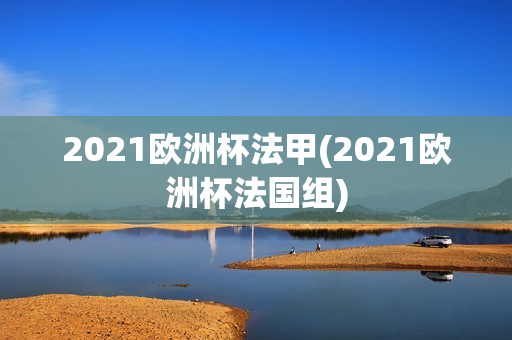 2021欧洲杯法甲(2021欧洲杯法国组)