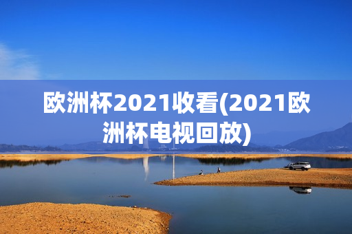 欧洲杯2021收看(2021欧洲杯电视回放)