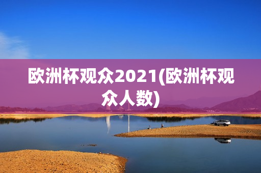 欧洲杯观众2021(欧洲杯观众人数)