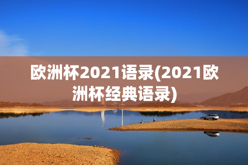 欧洲杯2021语录(2021欧洲杯经典语录)