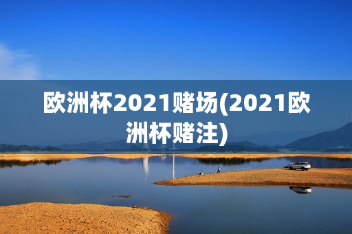 欧洲杯2021赌场(2021欧洲杯赌注)