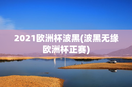 2021欧洲杯波黑(波黑无缘欧洲杯正赛)