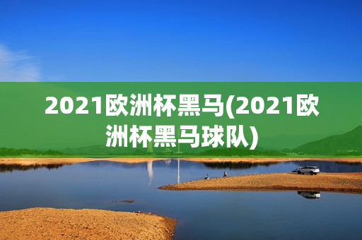 2021欧洲杯黑马(2021欧洲杯黑马球队)