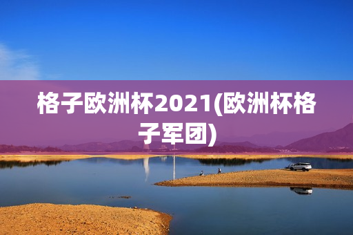 格子欧洲杯2021(欧洲杯格子军团)