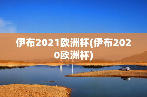 伊布2021欧洲杯(伊布2020欧洲杯)