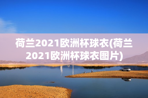 荷兰2021欧洲杯球衣(荷兰2021欧洲杯球衣图片)