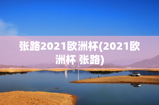 张路2021欧洲杯(2021欧洲杯 张路)