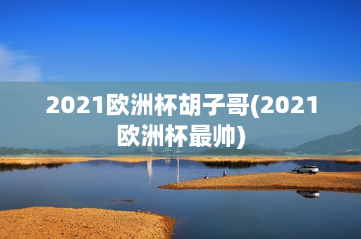 2021欧洲杯胡子哥(2021欧洲杯最帅)