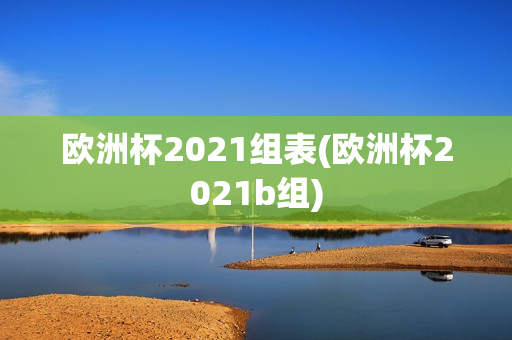 欧洲杯2021组表(欧洲杯2021b组)