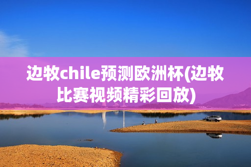 边牧chile预测欧洲杯(边牧比赛视频精彩回放)