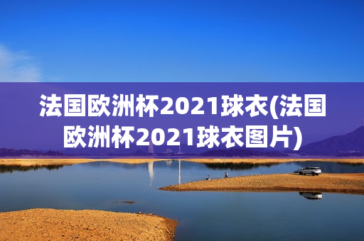 法国欧洲杯2021球衣(法国欧洲杯2021球衣图片)