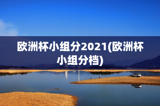 欧洲杯小组分2021(欧洲杯小组分档)