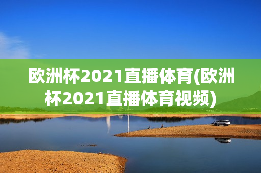 欧洲杯2021直播体育(欧洲杯2021直播体育视频)