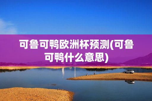 可鲁可鸭欧洲杯预测(可鲁可鸭什么意思)