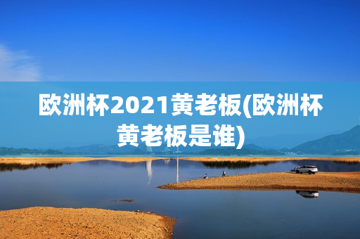 欧洲杯2021黄老板(欧洲杯黄老板是谁)