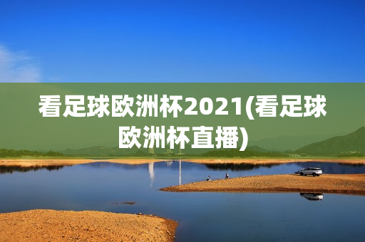 看足球欧洲杯2021(看足球欧洲杯直播)