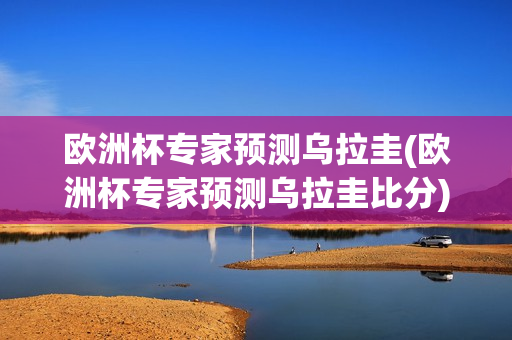 欧洲杯专家预测乌拉圭(欧洲杯专家预测乌拉圭比分)