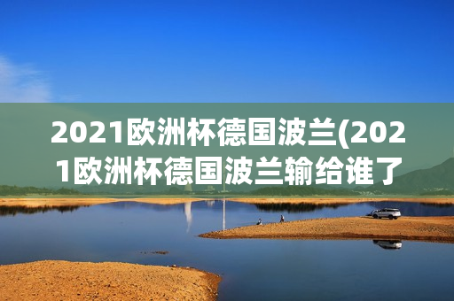 2021欧洲杯德国波兰(2021欧洲杯德国波兰输给谁了)