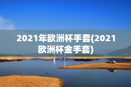 2021年欧洲杯手套(2021欧洲杯金手套)